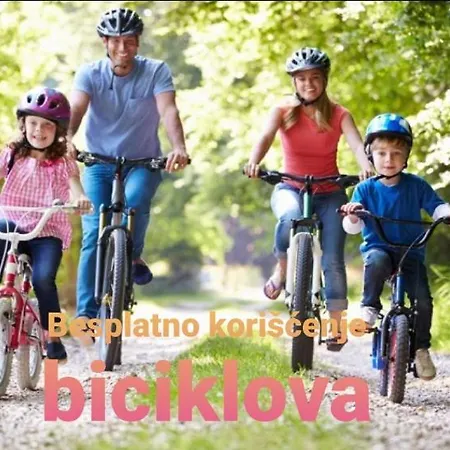 Diksi 2 Centar Apartman Nagybecskerek